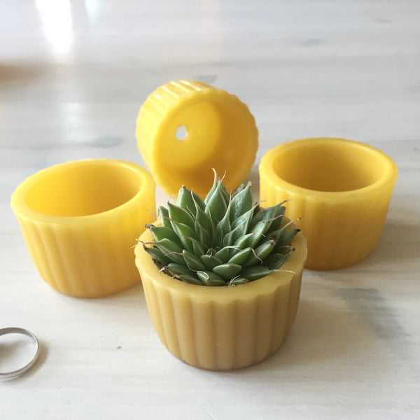 small yellow plant pot Beeswax Planters / Luminaries